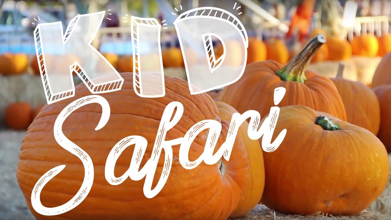 A Visit to the Pumpkin Patch