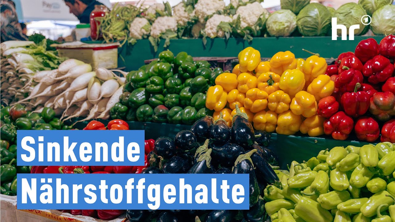 Gleiches Essen - weniger Inhalt? - Nährstoffmangel durch industrielle Landwirtschaft | alles wissen