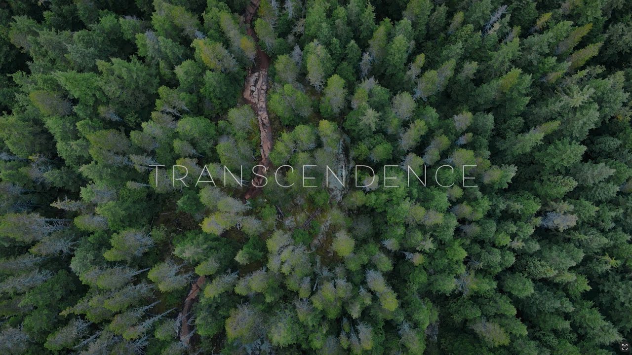 Transcendence // Capturing the Spirit of Mountain Biking Through Art in Northern British Columbia