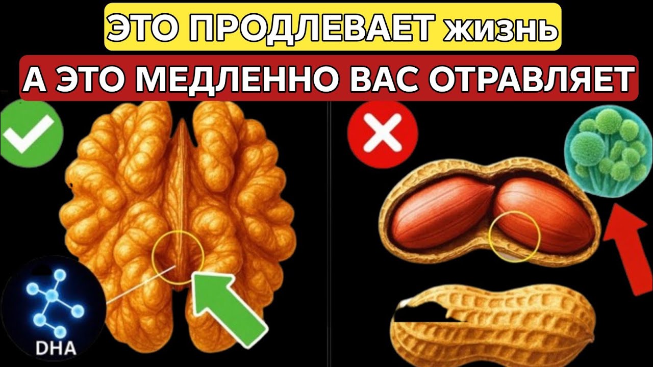 После 60 лет: 4 самых вредных ореха, которые нельзя есть, и 4 полезных для ежедневного рациона