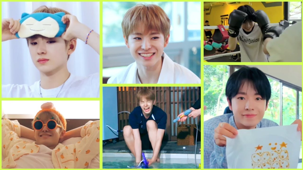 윳냥이🐈 펫캠 말하는 고양이 보세요 윳냥이 특) 먹는거 좋아함 갑자기 춤추고 노래함 NCT 유우시