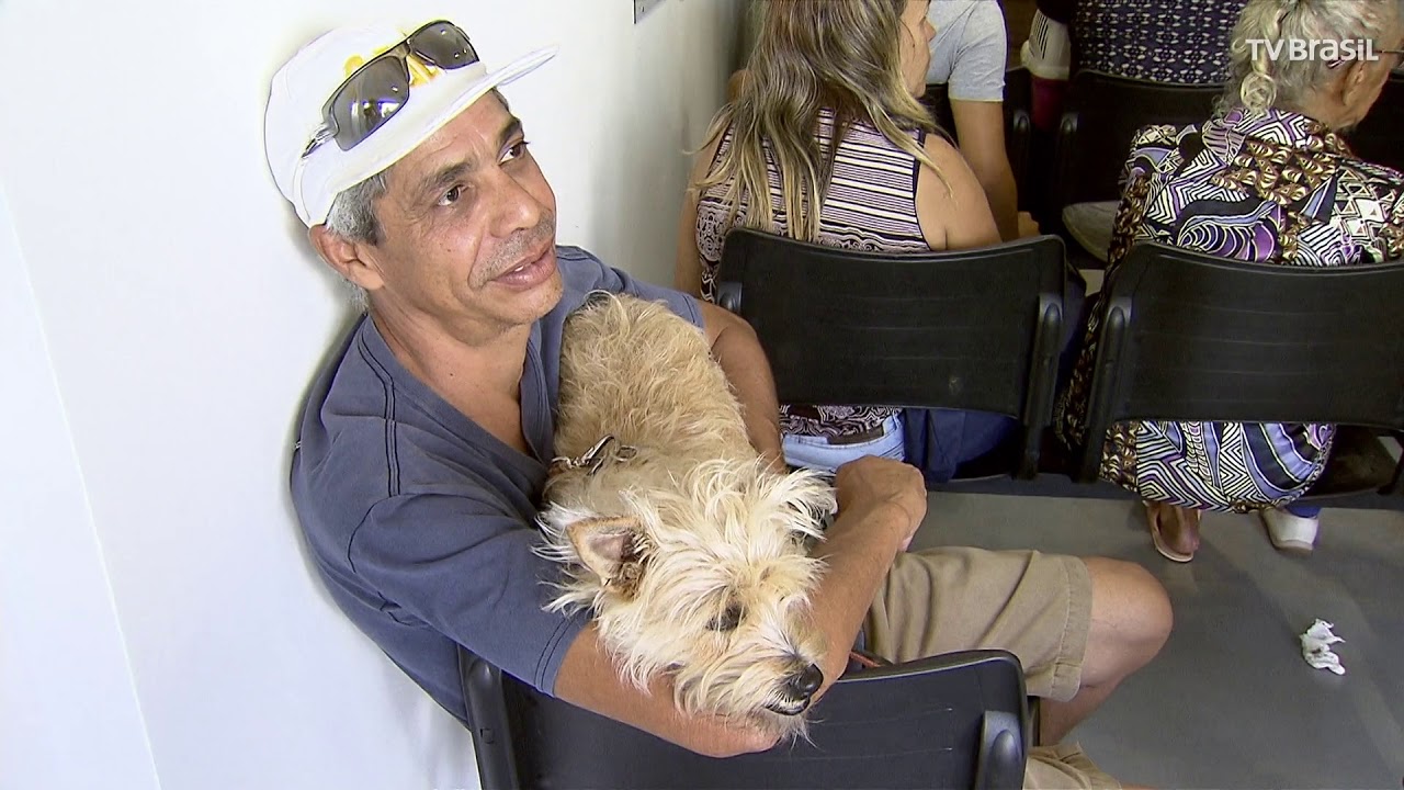 Hospital veterinário público em Taguatinga atenderá 400 animais por dia