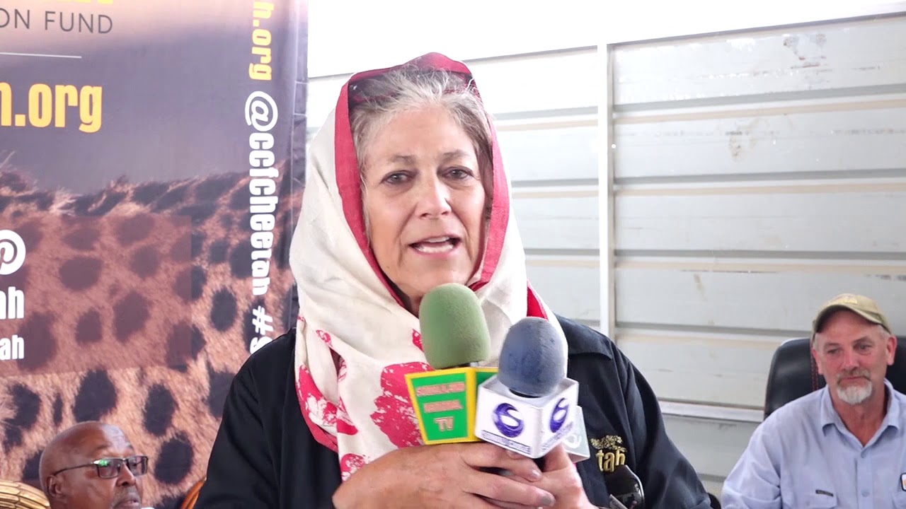 Dr. Laurie Marker Founder Cheetah Conservation Fund
