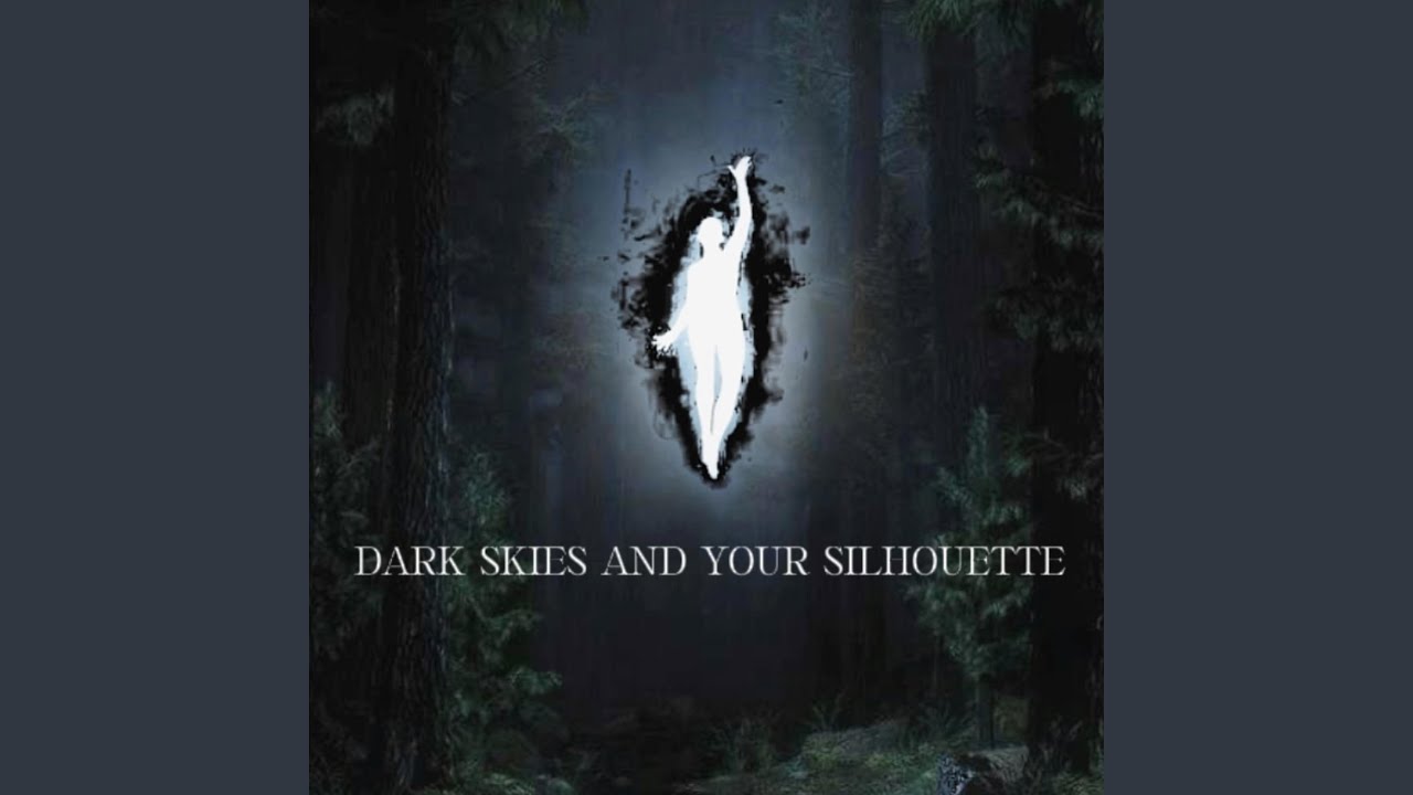 Dark Skies And Your Silhouette (feat. Character D3f3cts)