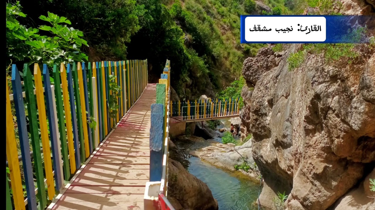 مساجد جيجل- تلاوة عشائية جميلة من القارئ نجيب مشقف
