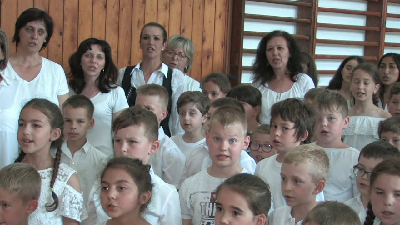 Alapiskola Zseliz, Kézfogás 2019