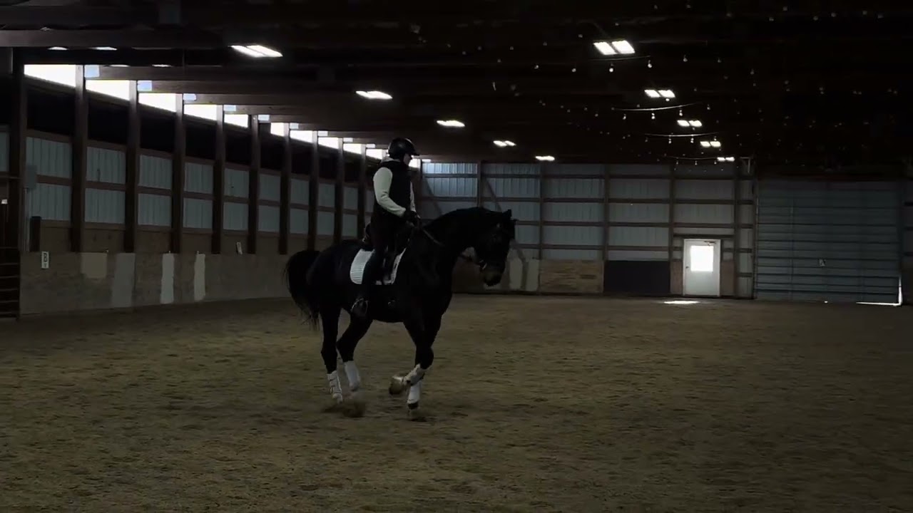 Fusaro Schooling (December)