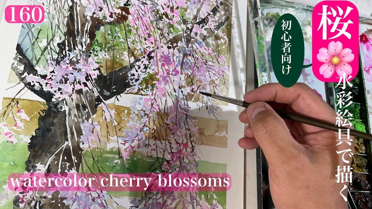 160/桜を描く（初級編）