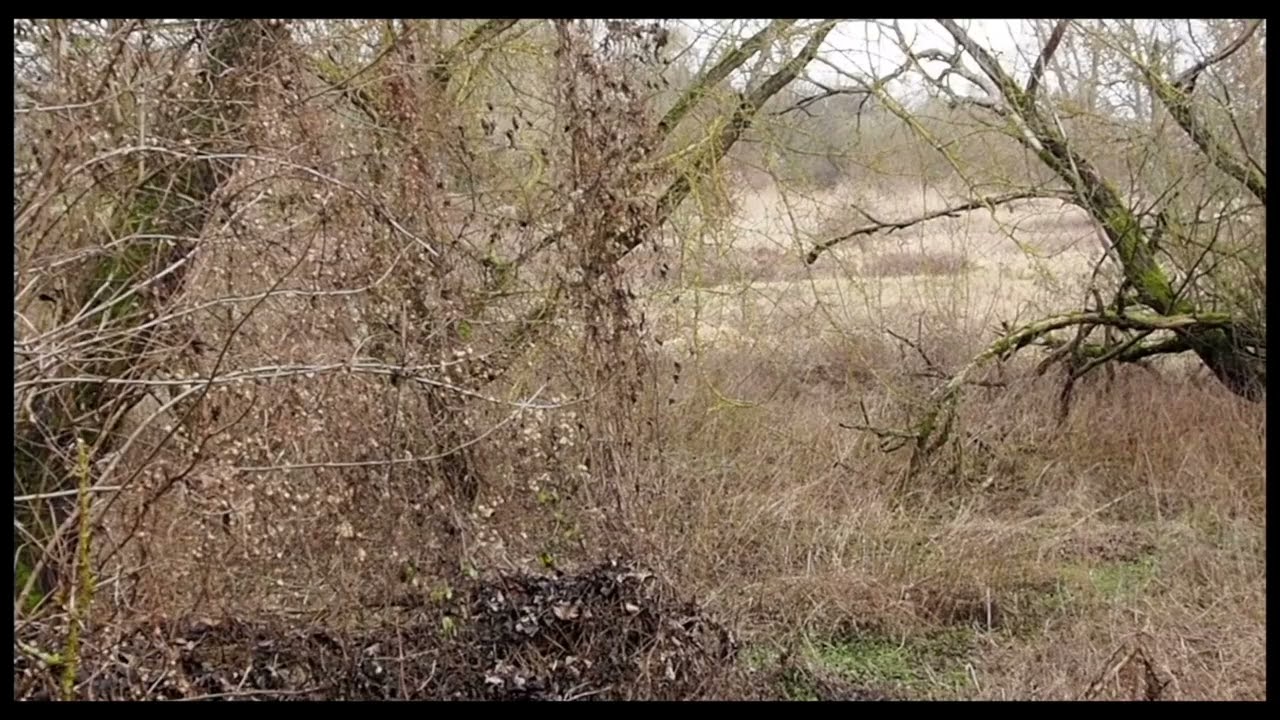 Radtour  Insel Ziegenwerder  und Oderwiesen