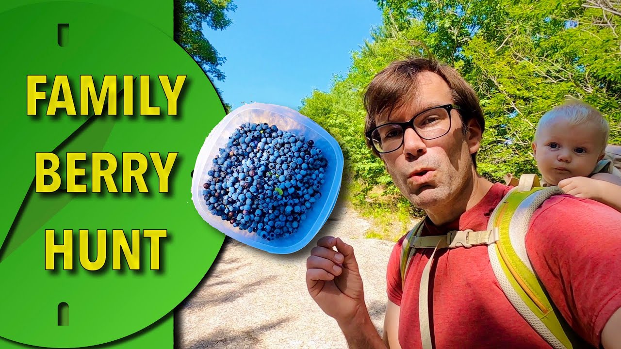 FREE FOOD from the wild! Is it ok to eat? | Fun-sized Adventures