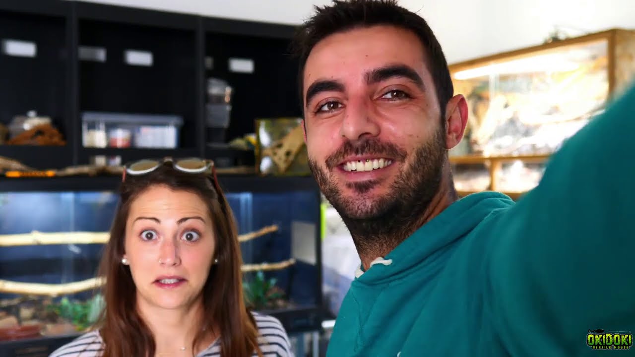 🦗 El MEJOR ALIMENTO VIVO 🐛
