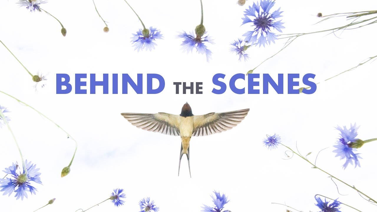 Unsere besten Bilder  - Behind the Scenes | ZEITWEISE Naturfotografie TEIL 2