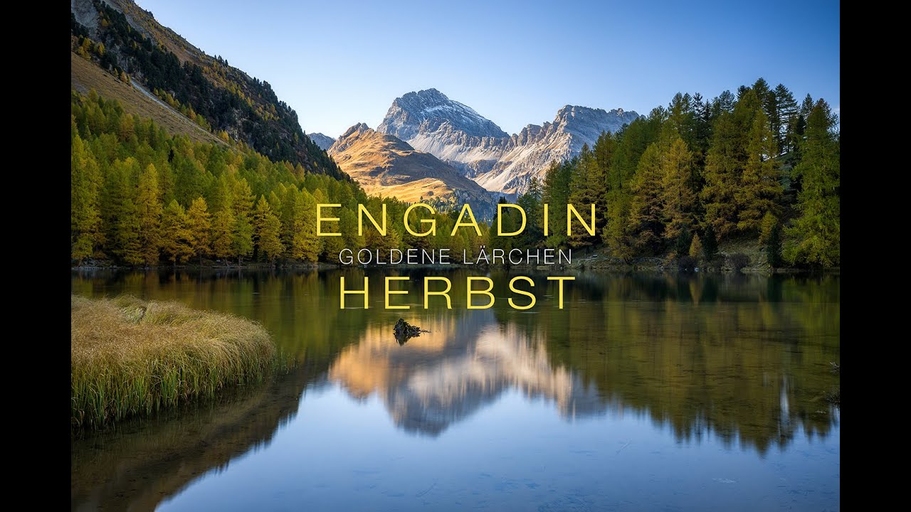 ENGADIN IM HERBST - GOLDENE LÄRCHEN