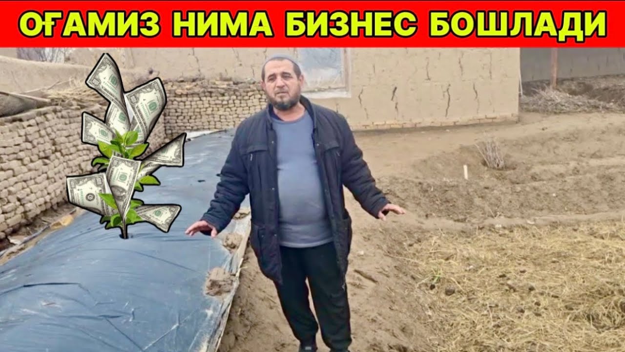 Бу оғамиз нима бизнес бошлади 13-февраля 2026 г.