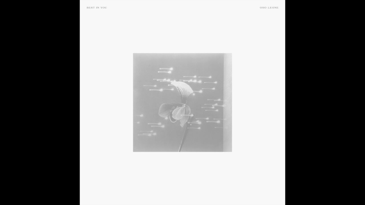 Oso Leone &mdash; Best in You