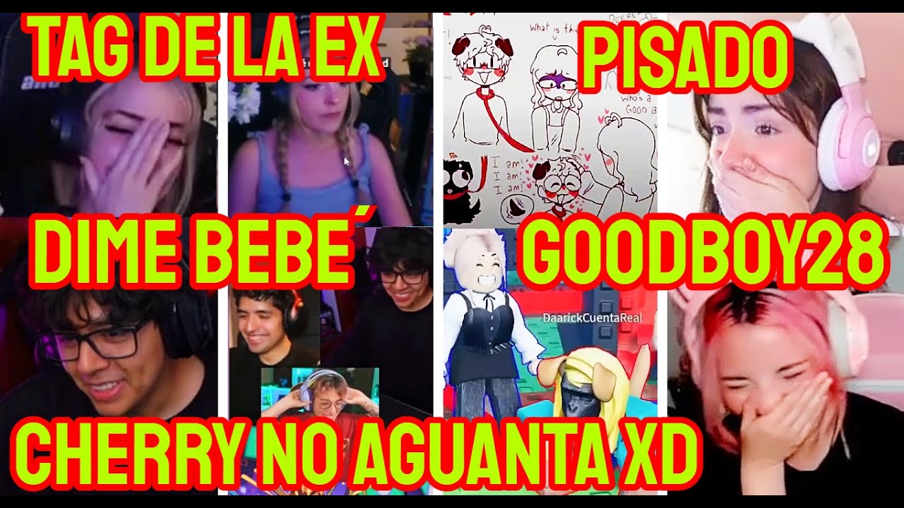 MARY Y CHERRY REACCIONAN A DAARICK EL PERRO DE SYLVEEY, DOMADO Y MUCHOS MAS CLIPS NOVELEROS