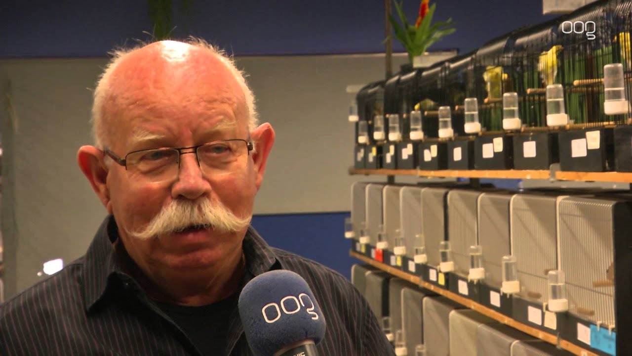 Vogelshow in Hoogkerk