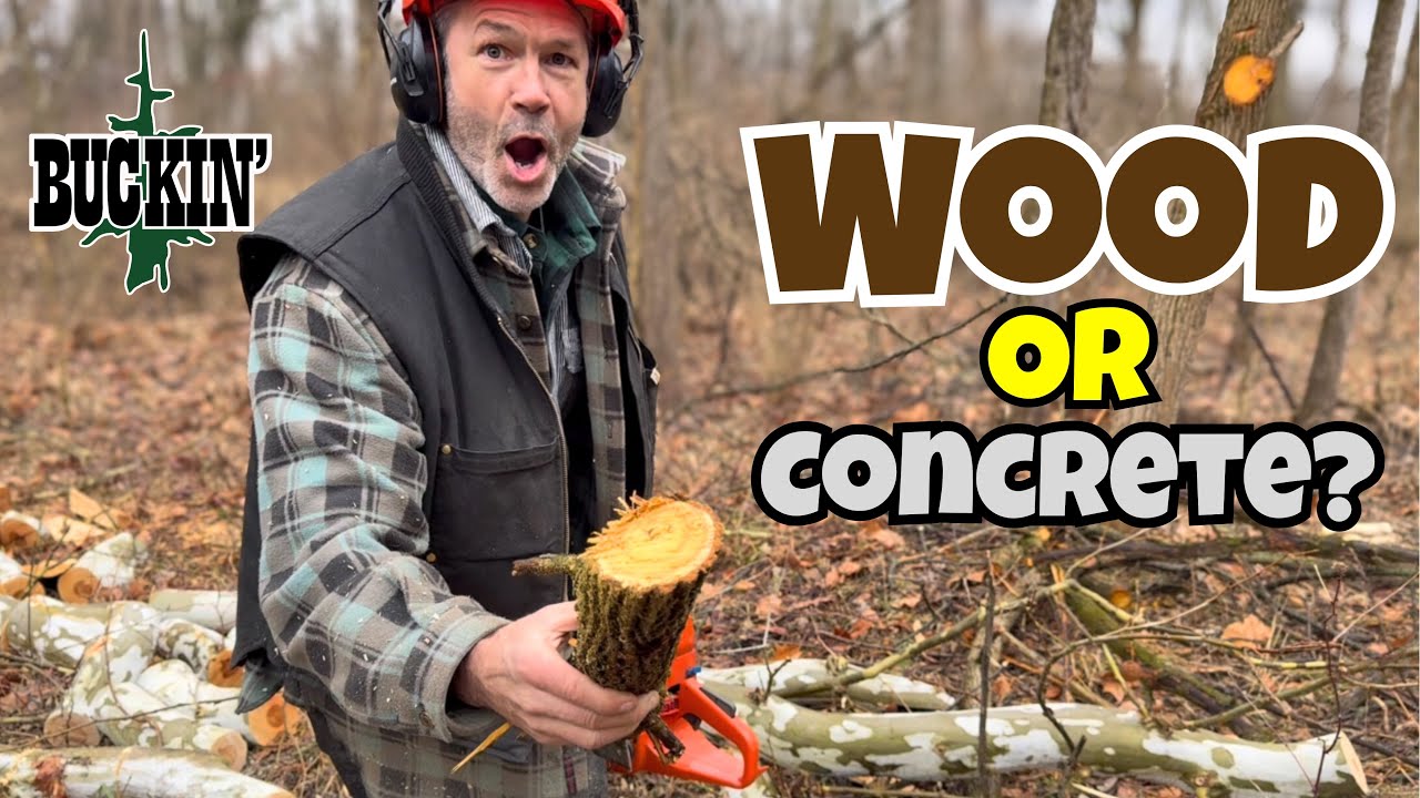Osage and Sycamore, You Weren’t kidding! 