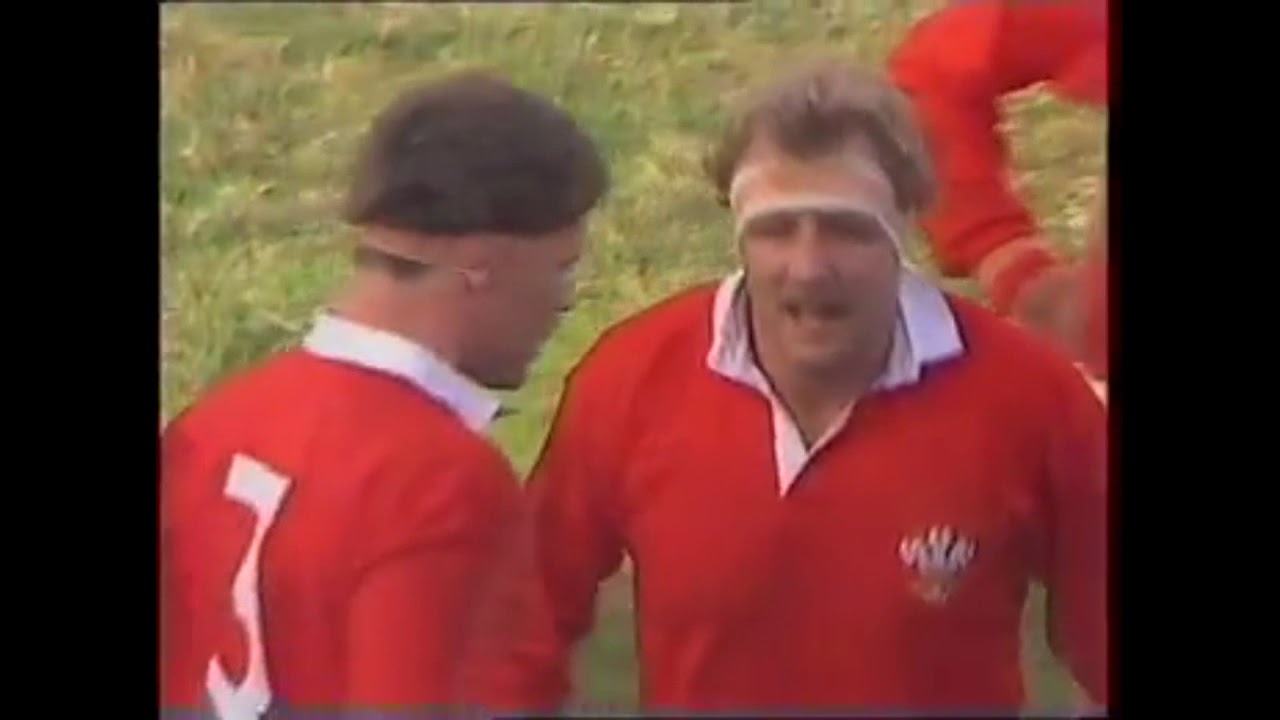 WALES V ENGLAND 1987  WORLD CUP