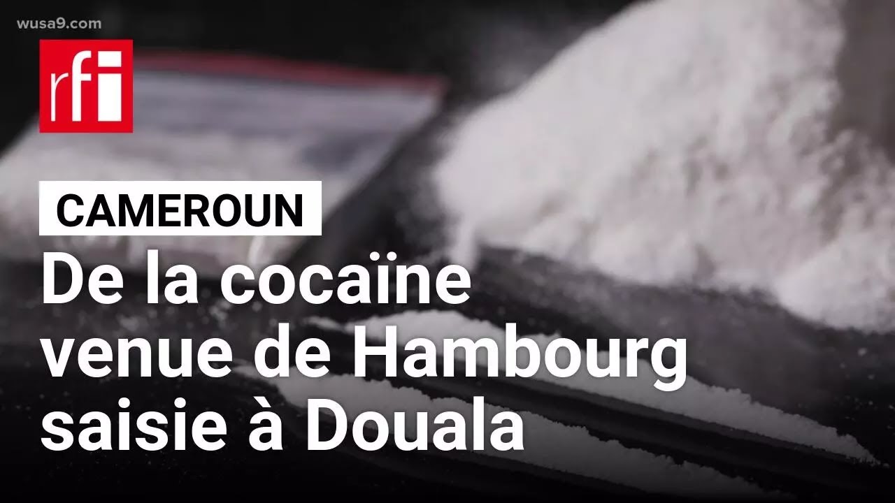 Cameroun : près de deux tonnes et demie de cocaïne et tramadol saisies à l'aéroport de Douala