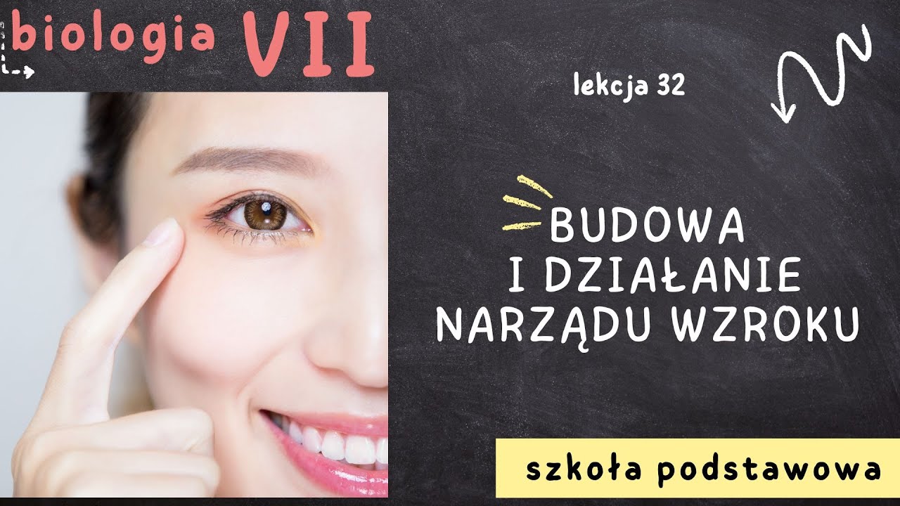 Biologia 7 [Lekcja 32 - Budowa i działanie narządu wzroku]