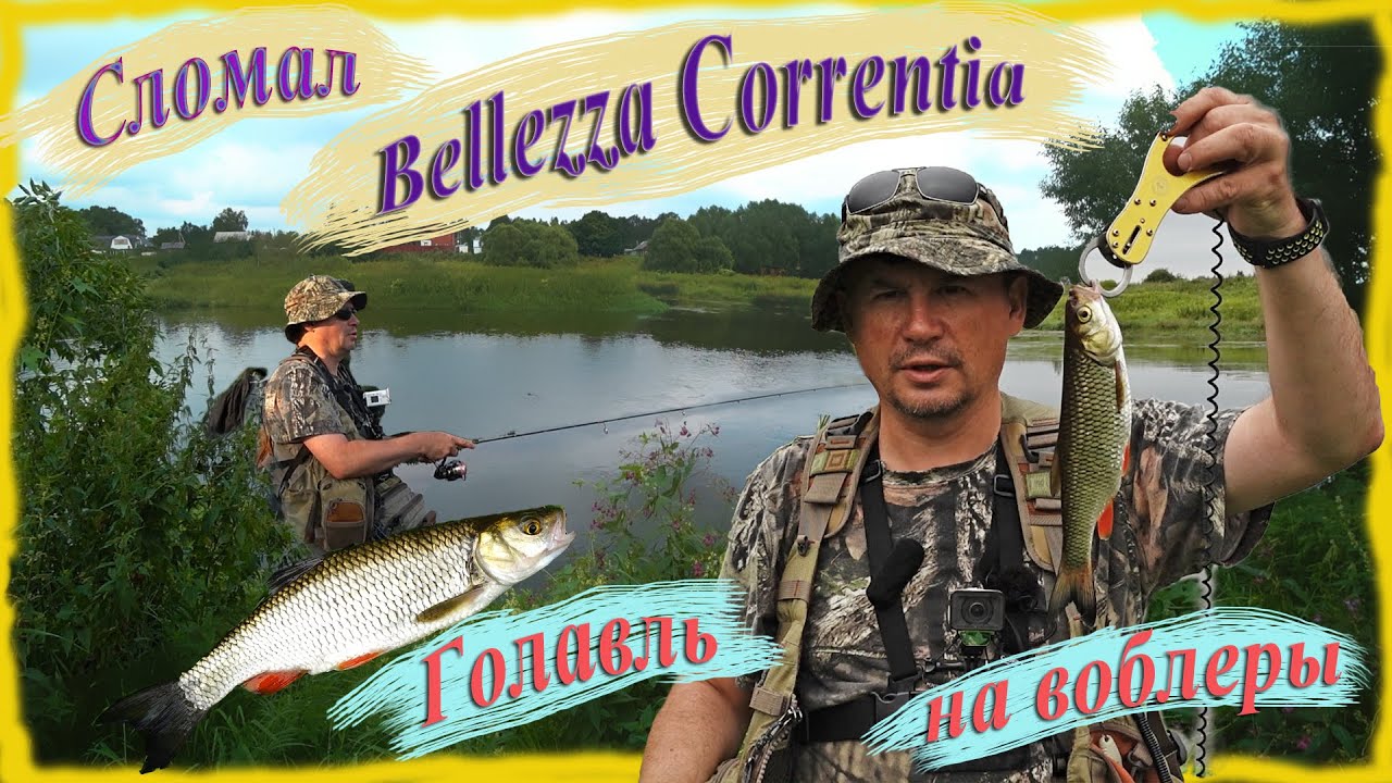 Сломал Bellezza Correntia. Голавль на Верхней Москве-реке. Ловля на воблеры