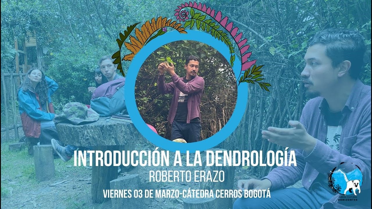 Introducci&oacute;n a la dendrolog&iacute;a con las principales especies de la RUCH| Fundaci&oacute;n Cerros de Bogot&aacute;