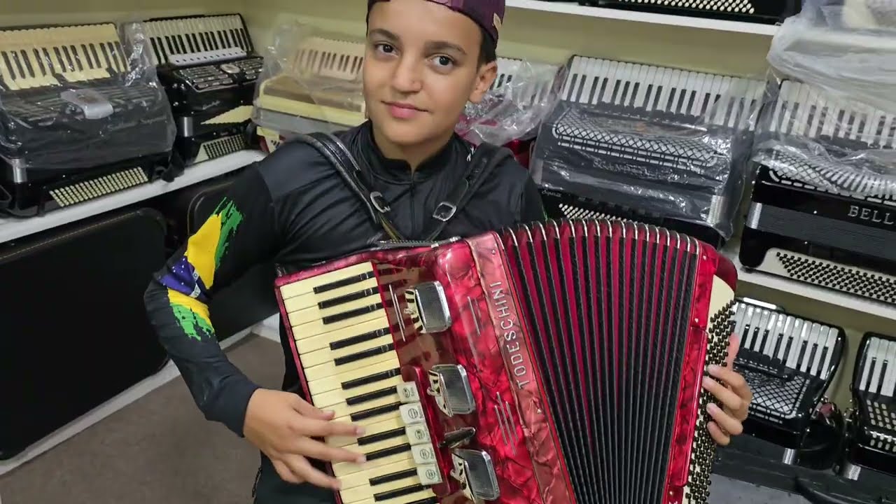 (12.000,00) Acordeon 120 Baixos Todeschini Artist 4 impecável