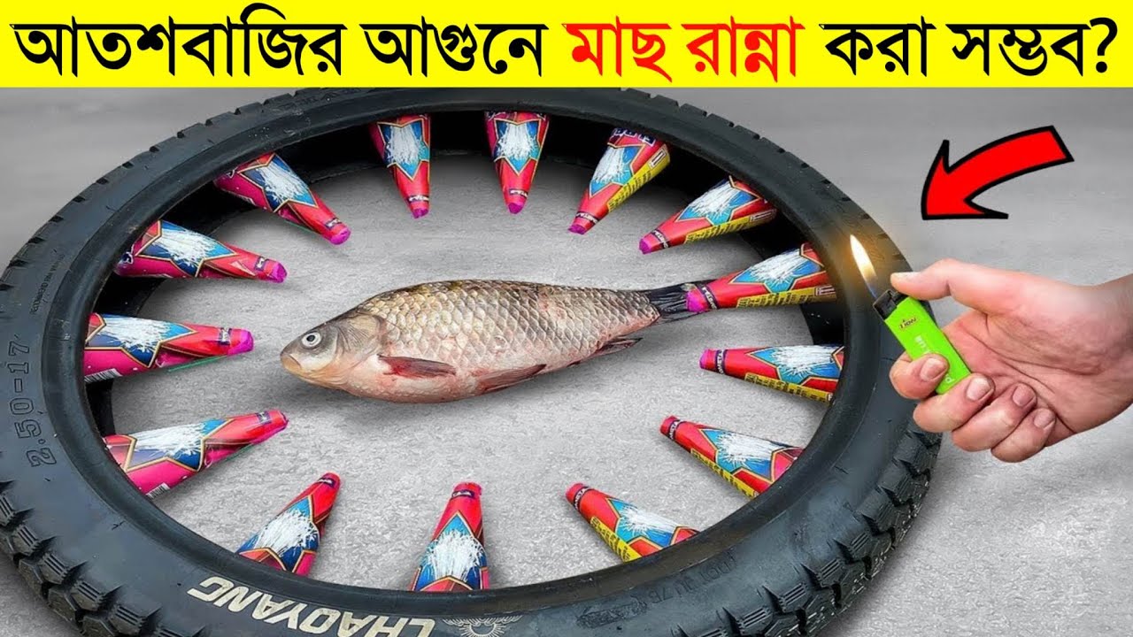 মাছ VS আতশবাজি😱| এমনই এক্সপেরিমেন্ট দেখে আপনারা অবাক হয়ে যাবেন | Amazing experiments