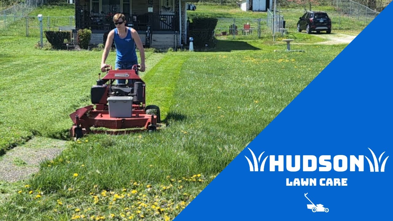 Old Ferris walk behind mower VS super thick grass