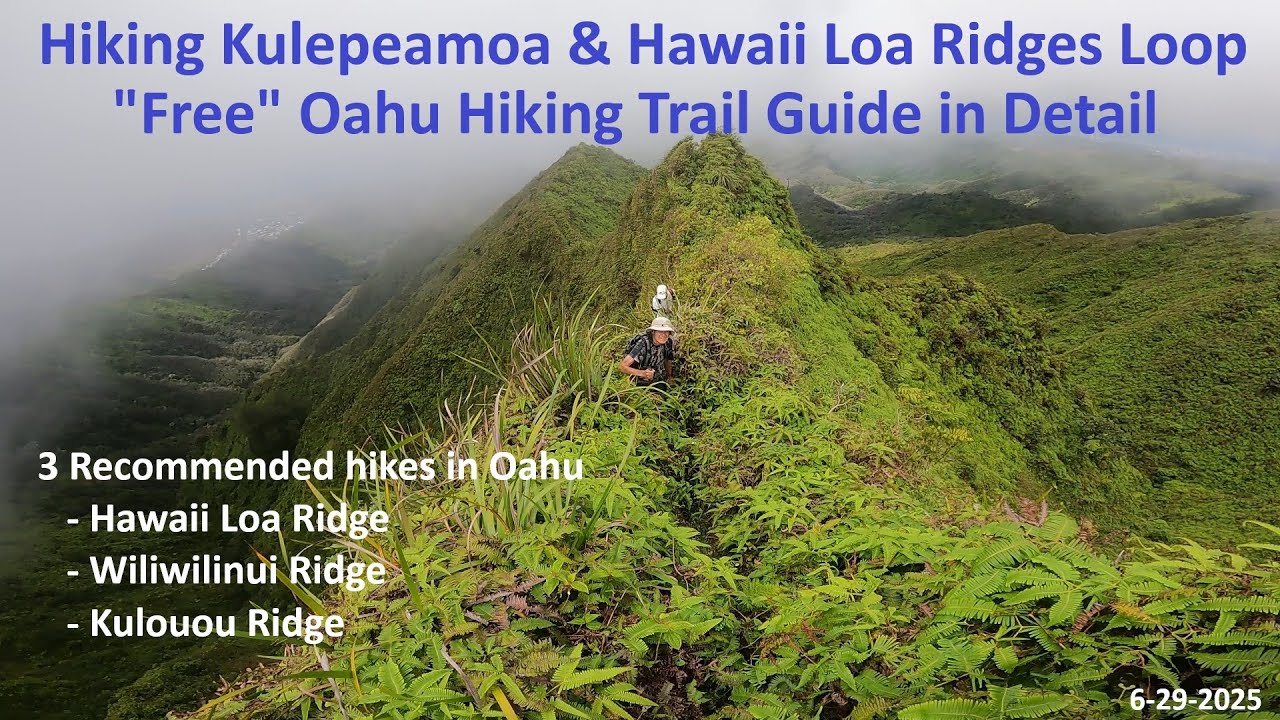 Hiking Kulepeamoa and Hawaii Loa Ridges Loop, 6-29-2025