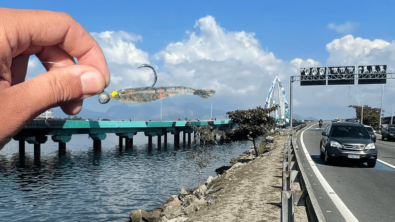 PESCARIA URBANA NA ILHA DO GOVERNADOR. Pesca ultralight com camarão artificial. Rj