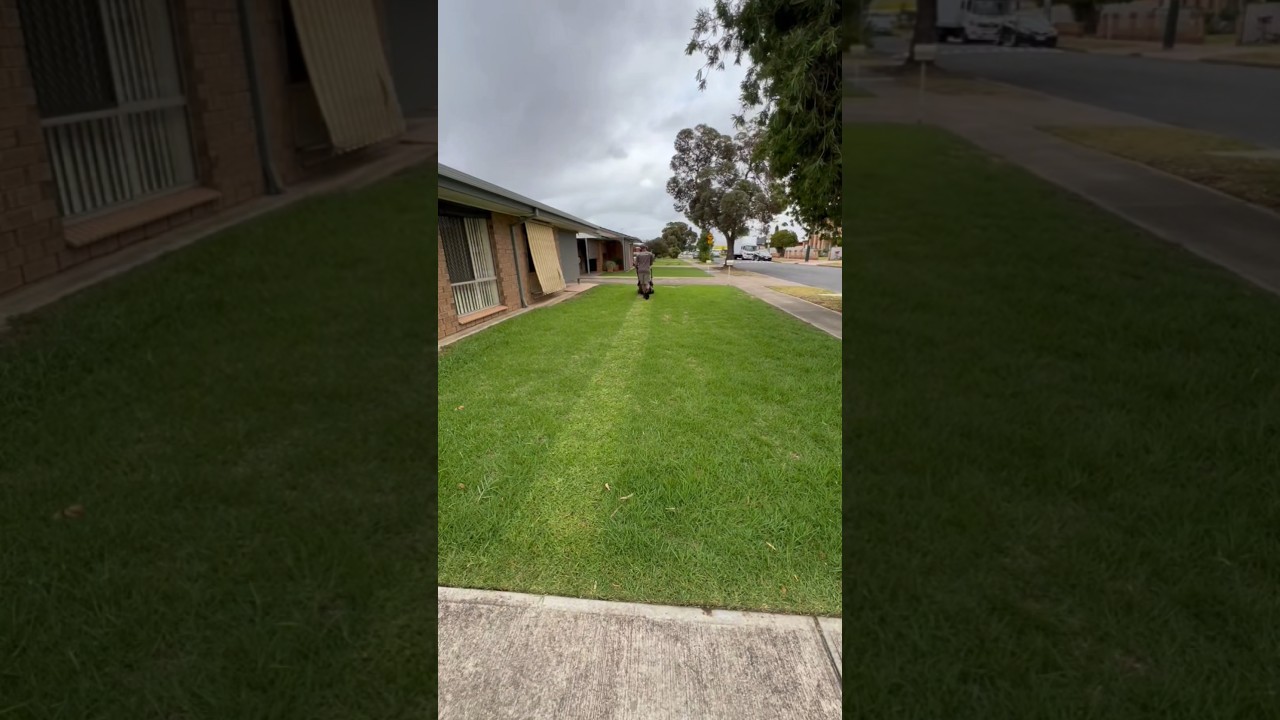 Ever wondered what goes into creating a perfectly manicured lawn? #shortsvideo #shorts