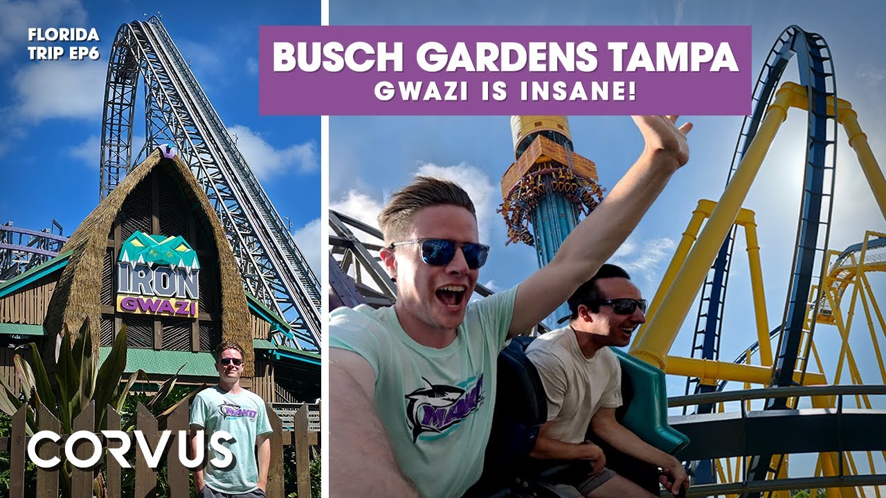 Гвази — безумец! — Видеоблог Busch Gardens Tampa, сентябрь 2025 г.