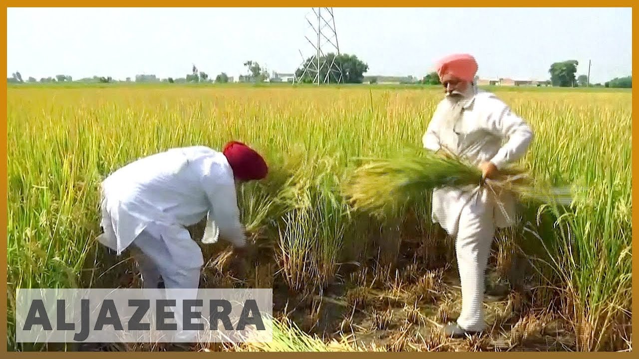 🇮🇳 India's farmers frustrated by insufficient government help l Al Jazeera English