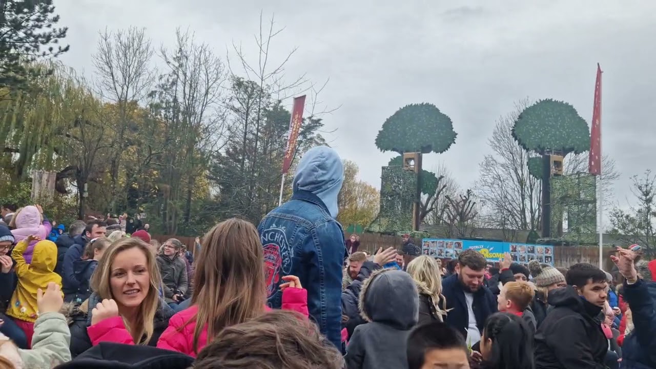 wiiild panto @chessington part 2 amazing pantomime