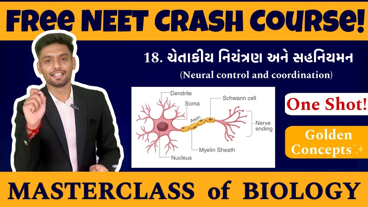 Masterclass of Biology | ચેતાકીય નિયંત્રણ અને સહનિયમન | Neural Control and Coordination in Gujarati