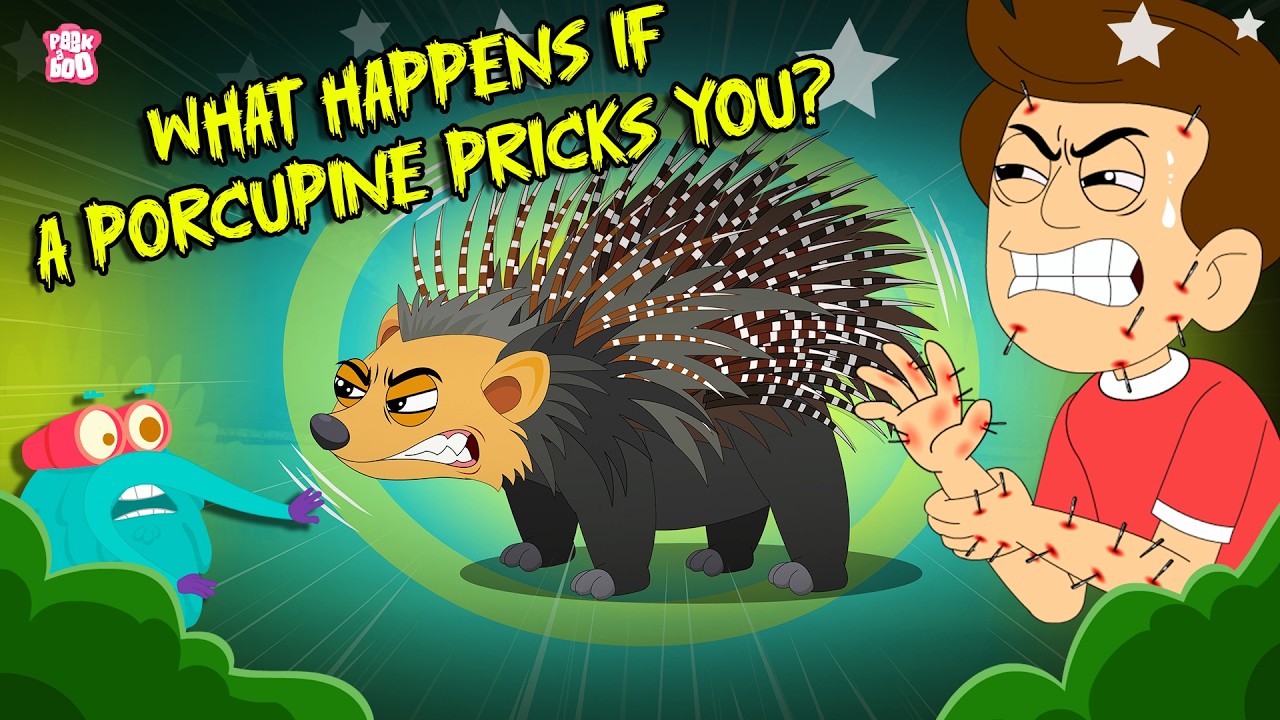 What If a Porcupine Pricks You? 🦔 Porcupine Quills Explained | Prickly Porcupine Facts | Dr. Binocs