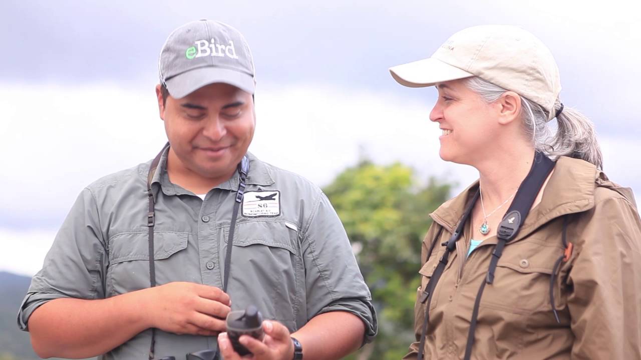 The Wood Thrush Connection