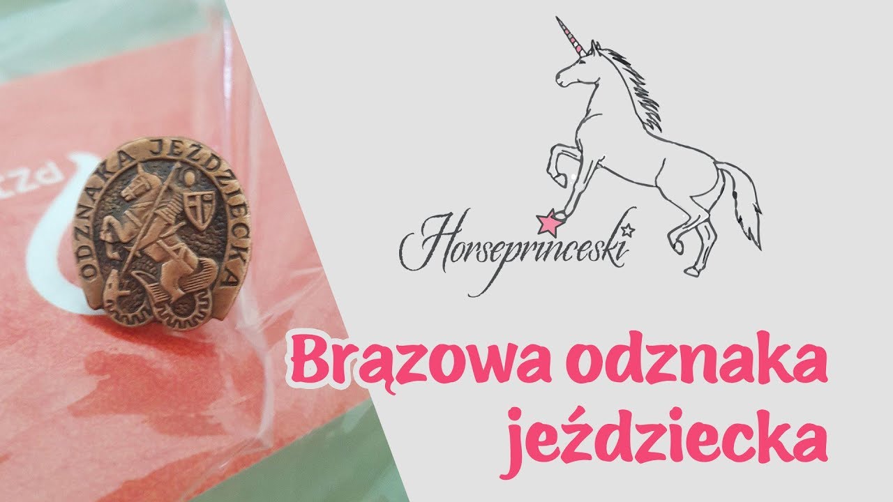 Horseprinceski - Brązowa odznaka jeździecka