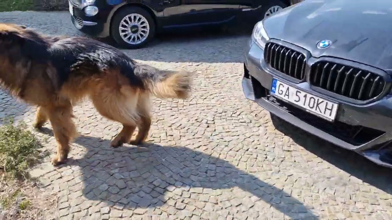 Daily vlog 13 marca 2026