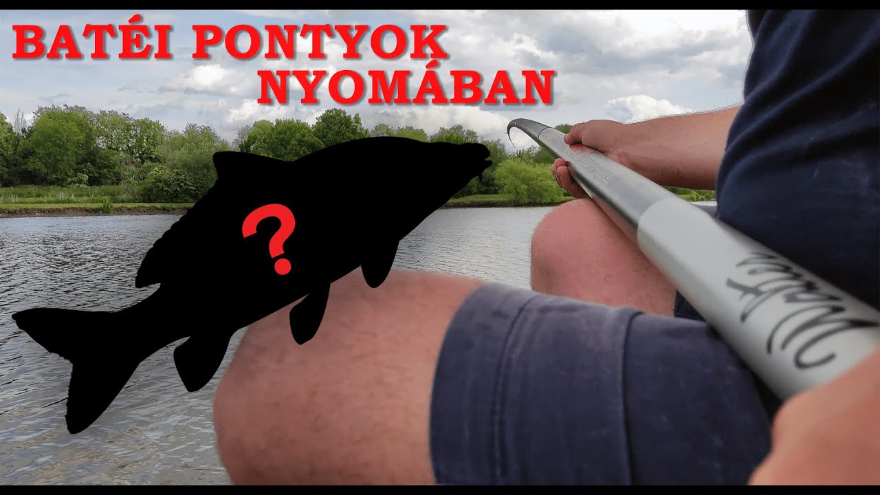 11+ méteres RAKÓS BOTTAL a BATÉI PONTYOK NYOMÁBAN – Tavaszi horgászat
