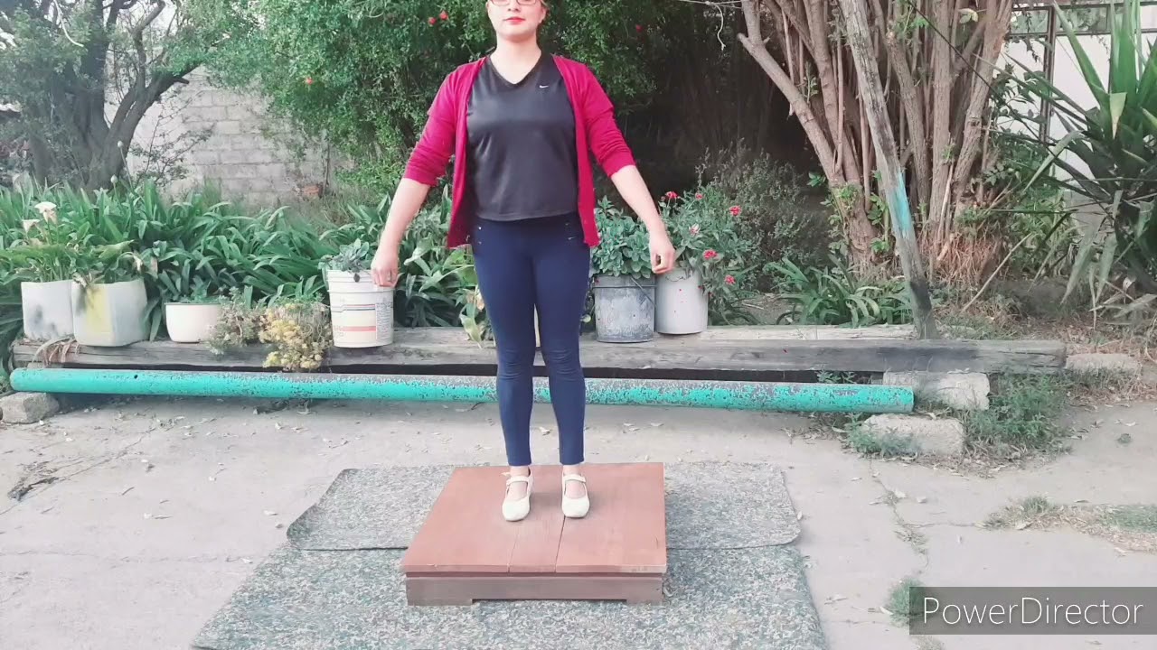 La rosa