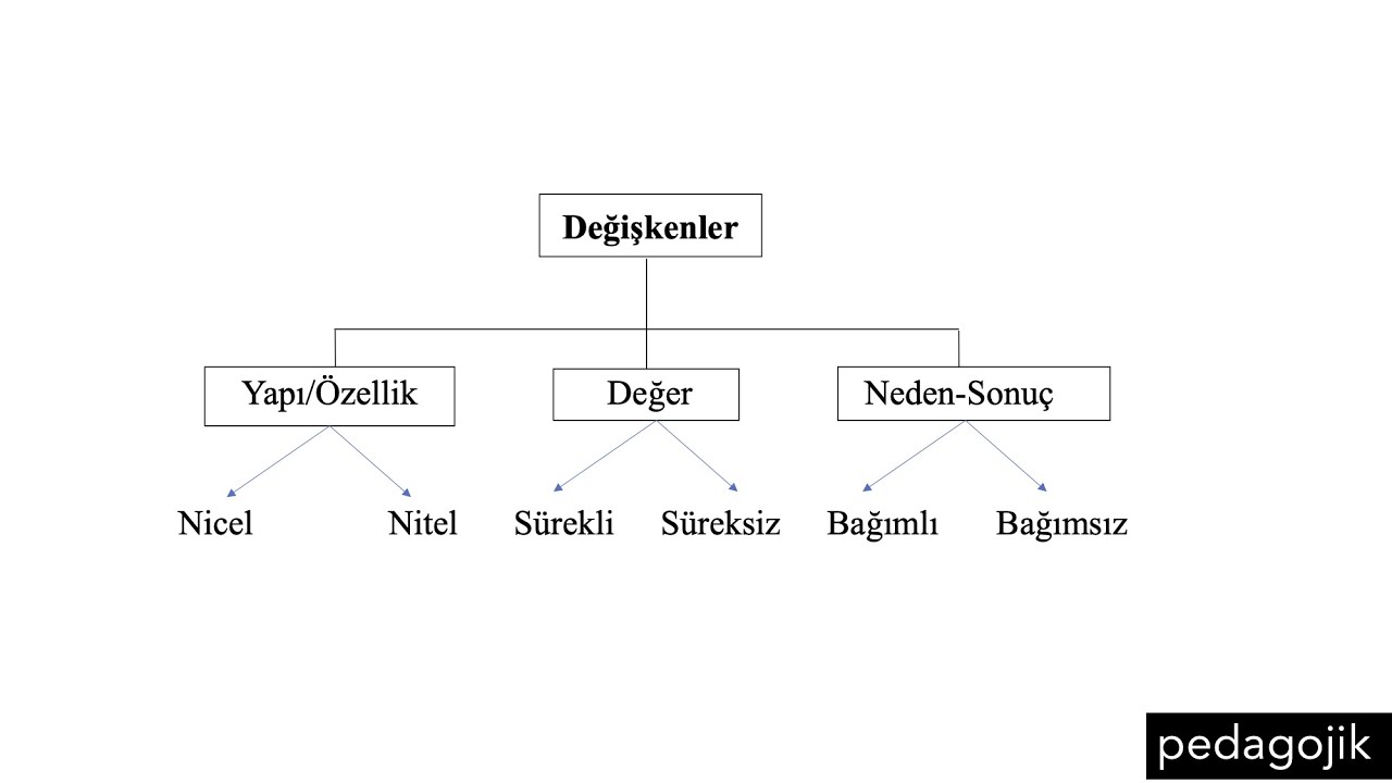 Değişken Nedir? Bağımsız/Bağımlı, Nitel/Nicel, Sürekli/Süreksiz