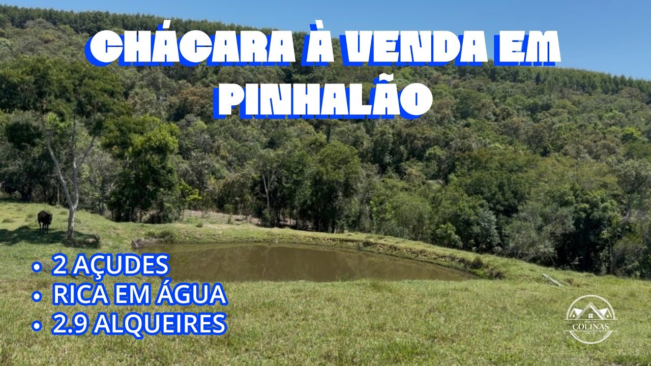 🌿 Chácara Produtiva à Venda em Pinhalão – 2,9 Alqueires | R$ 550.000,00