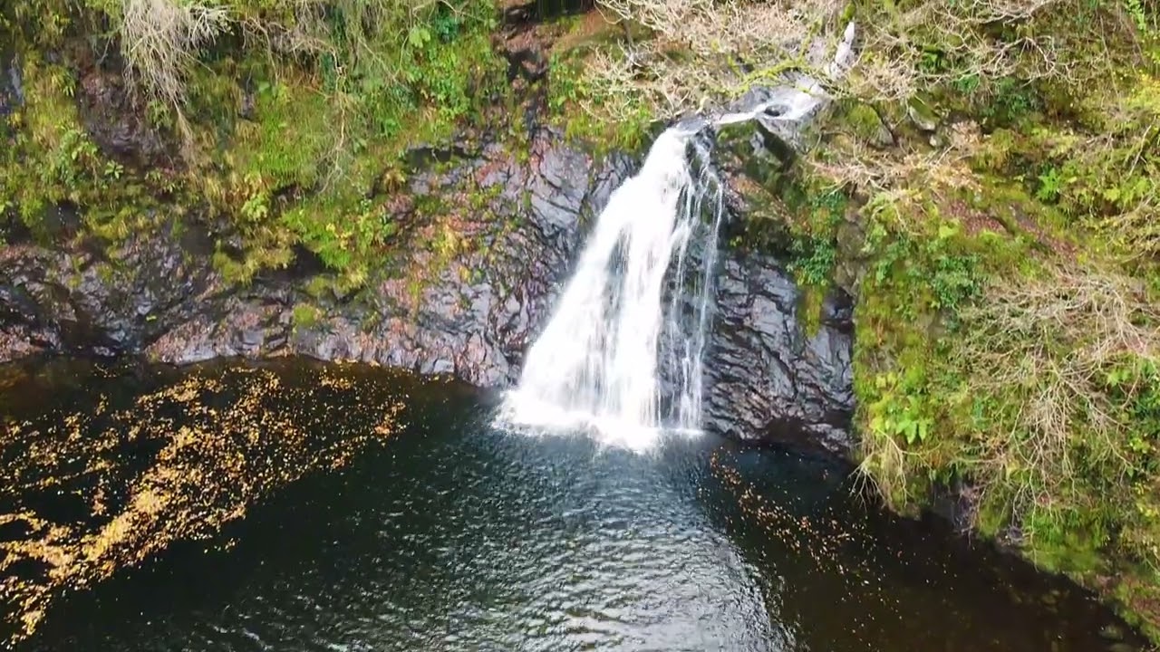 Ceunant Llennyrch National Nature Reserve