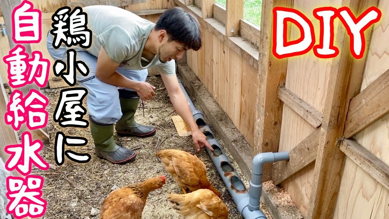 【DIY】鶏小屋に、自動給水器を作る！　ニワトリ　田舎暮らし　日曜大工　鬼嫁とボクの日常