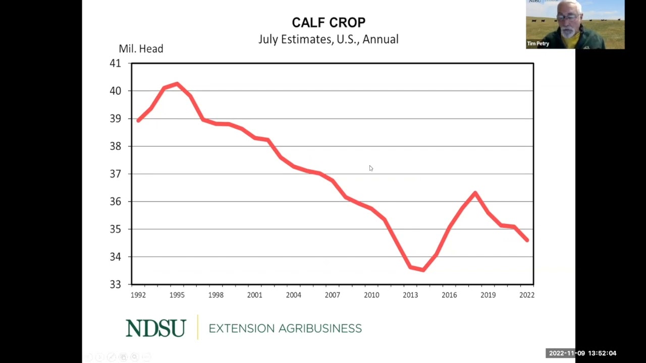 Backgrounding Cattle 2022: Cattle Price Situation and Outlook