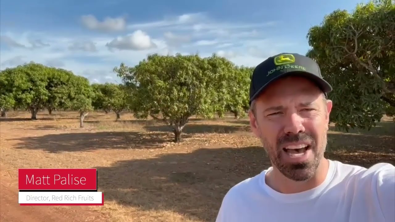 Tree to Table | Darwin Mango Farm Update