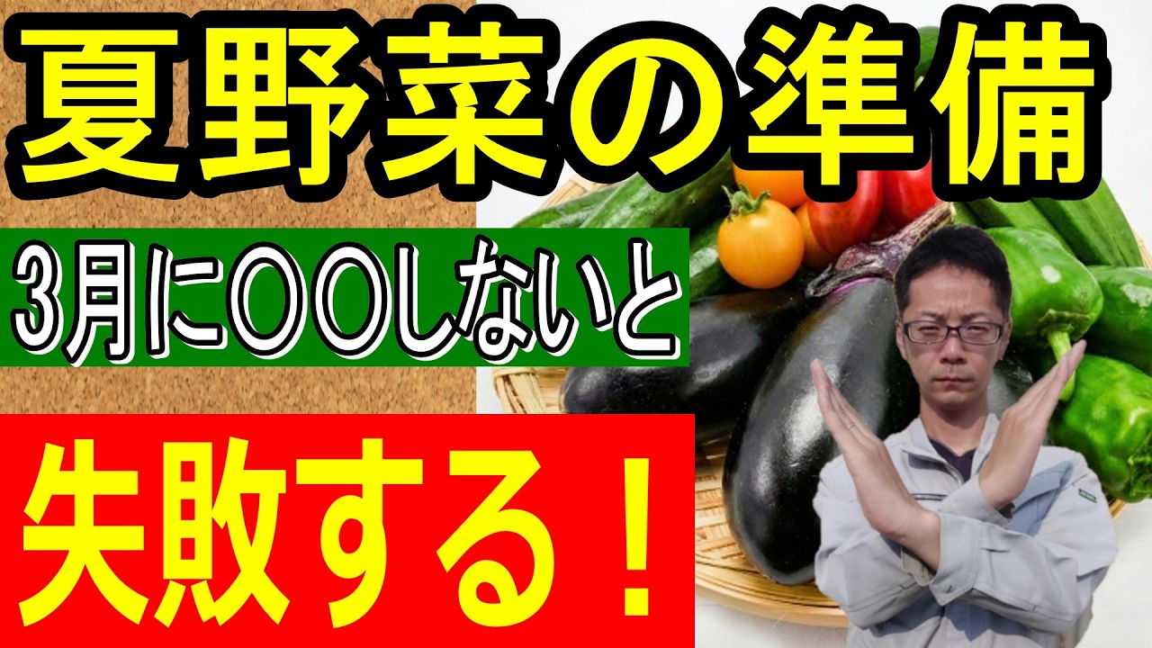 【警告】外での種まきは失敗します！猛暑を逃げ切る、電気代0円の最強「夏野菜苗」の作り方